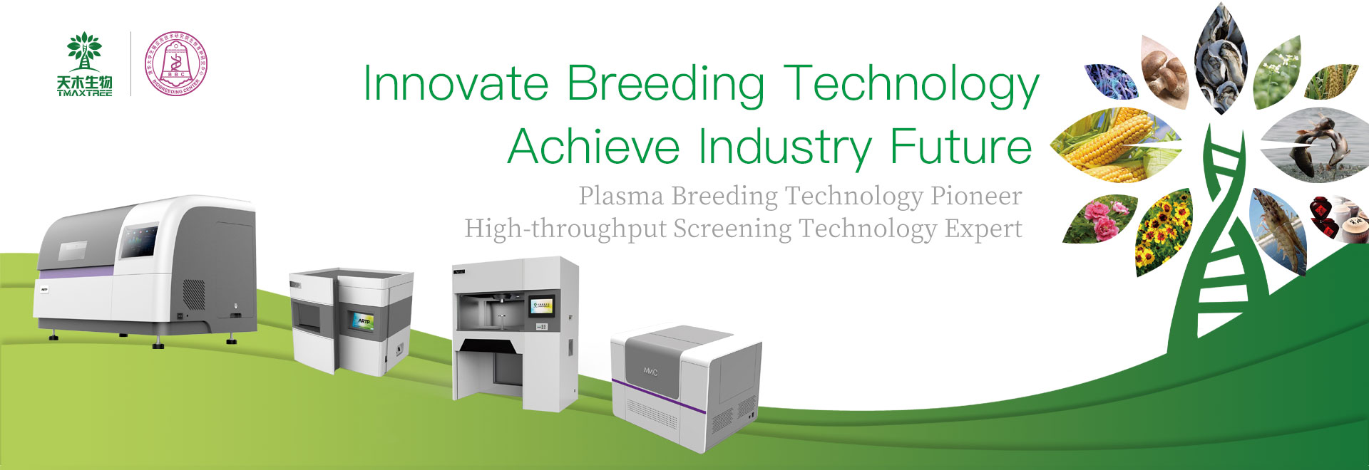 Innovate breeding technology. Achieve industry future